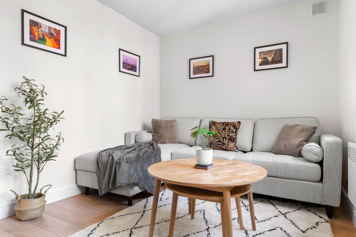 A quiet living room with a grey sofa, a wooden coffee table and an olive tree by the window